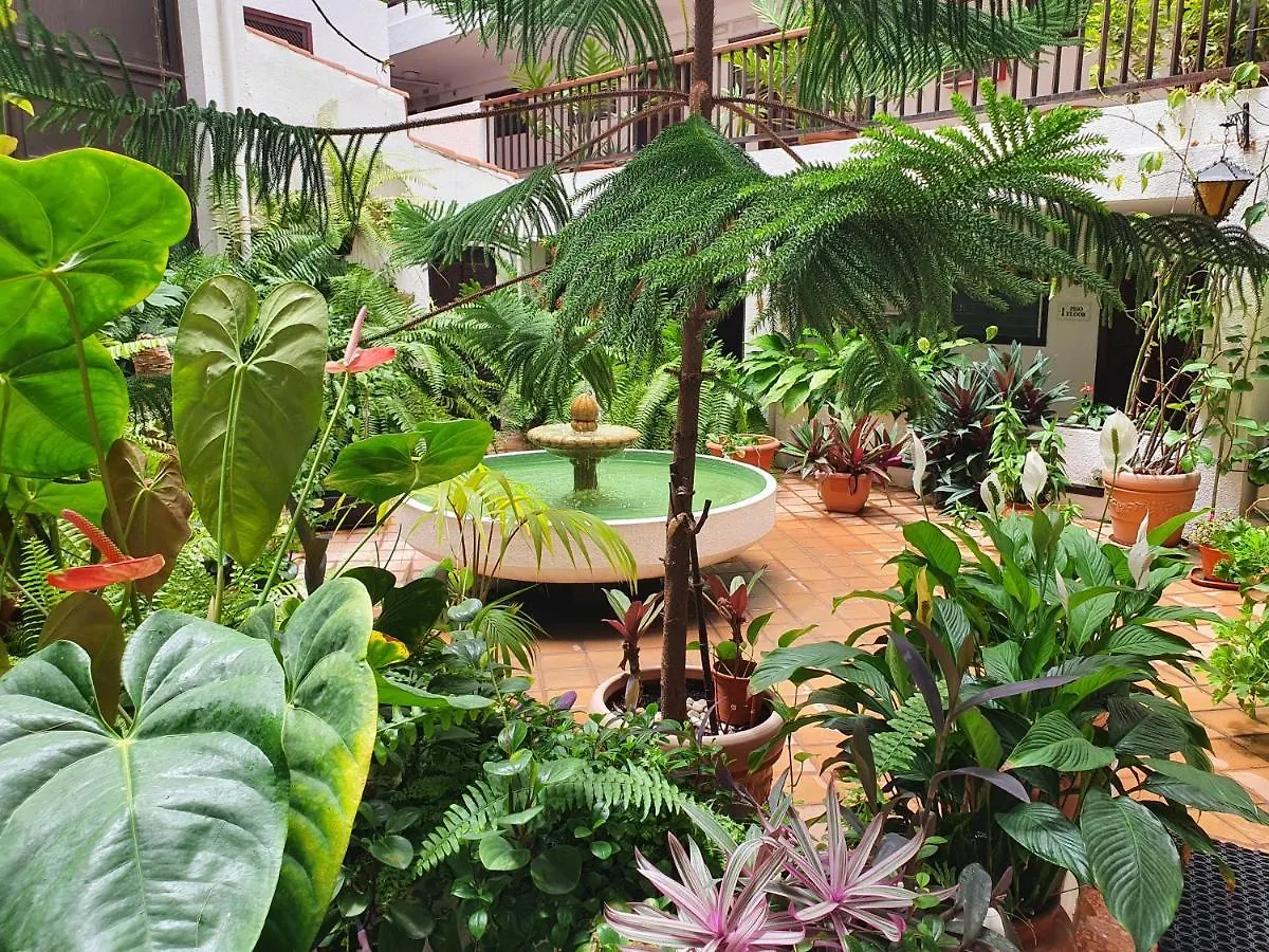 Apartament Marina Beach Puerto de la Cruz  Hiszpania